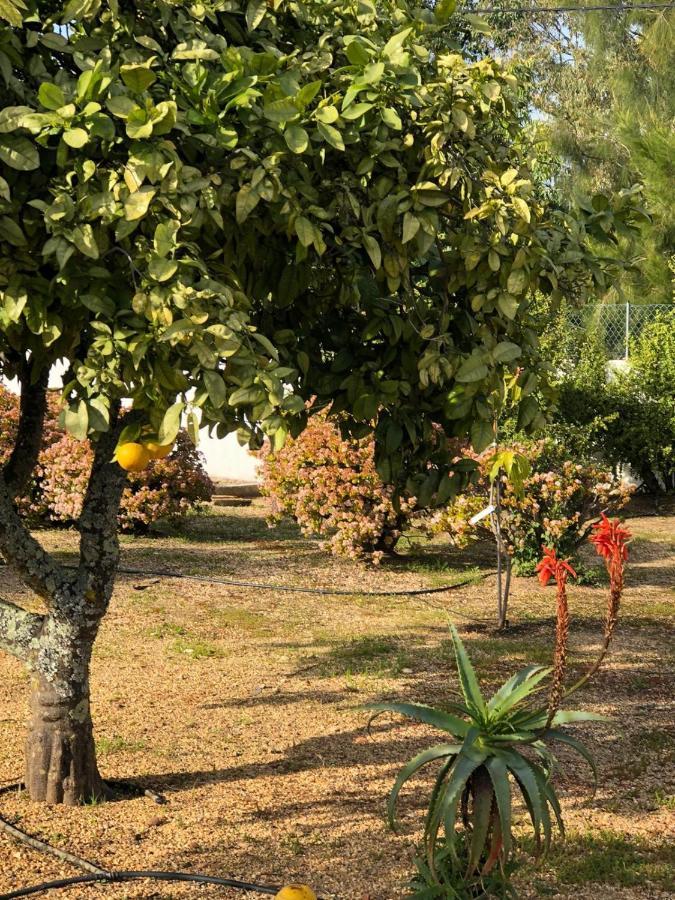 Quinta Verde Albufeira Luaran gambar