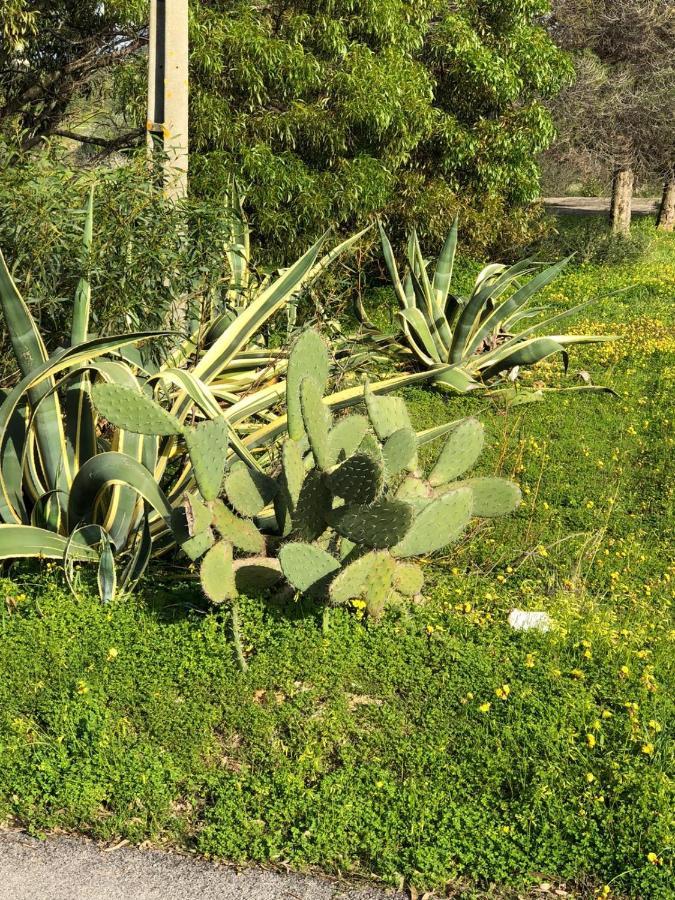 Quinta Verde Albufeira Luaran gambar