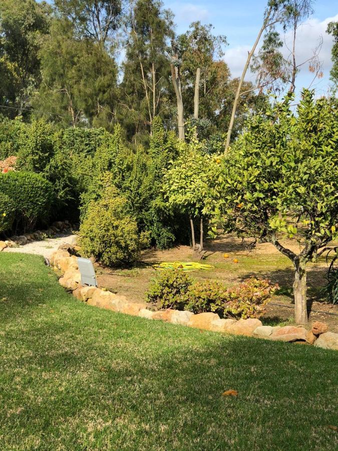 Quinta Verde Albufeira Luaran gambar