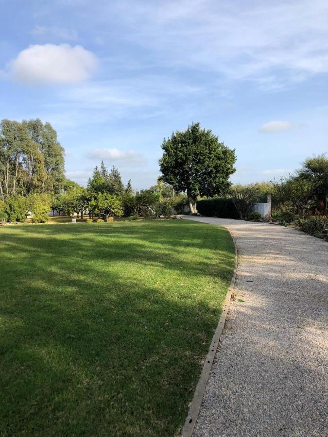 Quinta Verde Albufeira Luaran gambar