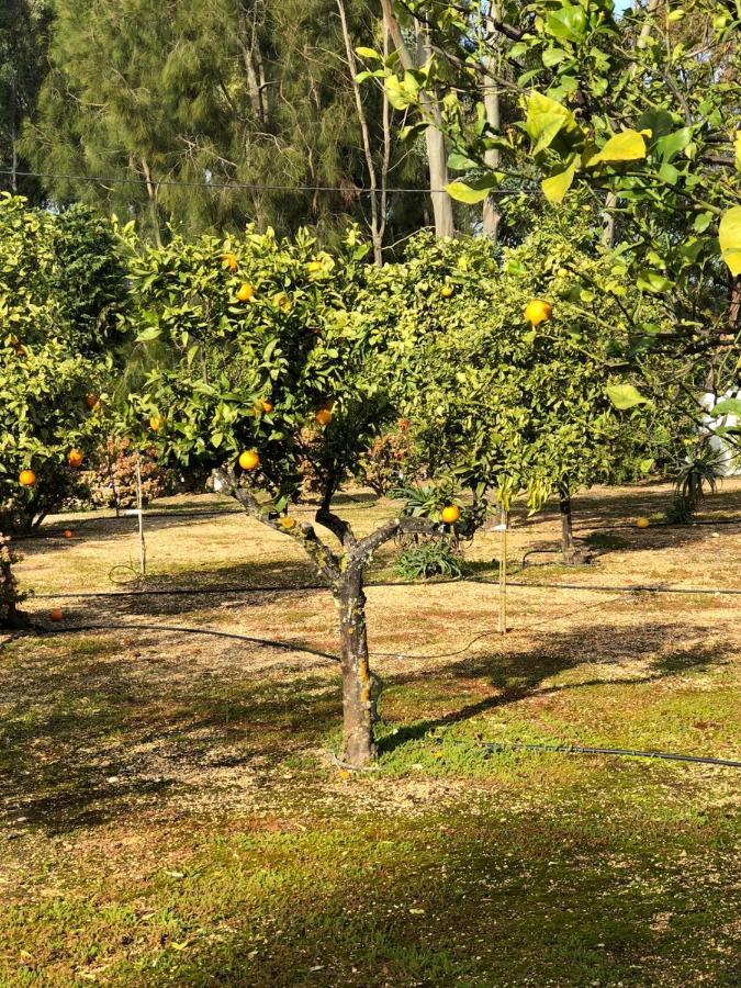 Quinta Verde Albufeira Luaran gambar
