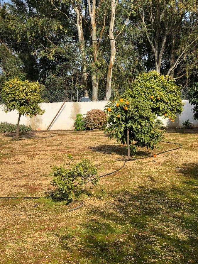 Quinta Verde Albufeira Luaran gambar